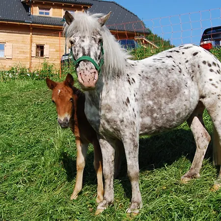 Almdorf Reiteralm Forstau (Salzburg)