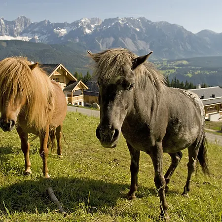 Hotel Almdorf Reiteralm 4*